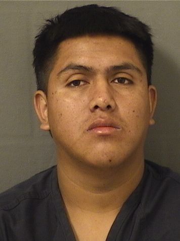  ELMER CHAJCHAJ Results from Palm Beach County Florida for  ELMER CHAJCHAJ