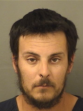  SHAWN CHRISTOPHER LEWIS Results from Palm Beach County Florida for  SHAWN CHRISTOPHER LEWIS