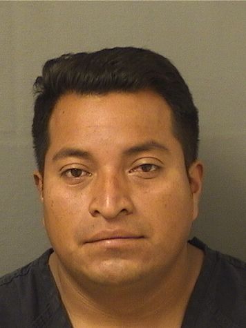  ROLANDO BULMARO VELSQUEZPEREZ Results from Palm Beach County Florida for  ROLANDO BULMARO VELSQUEZPEREZ