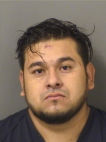  ELVIS FRANCISCO CENTENO Results from Palm Beach County Florida for  ELVIS FRANCISCO CENTENO