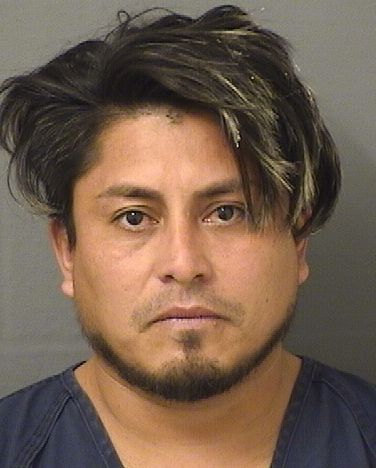  RONEL ONIL SANTOSNUNEZ Results from Palm Beach County Florida for  RONEL ONIL SANTOSNUNEZ