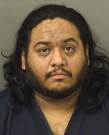  BORIS DAN Jr APARICIO Results from Palm Beach County Florida for  BORIS DAN Jr APARICIO