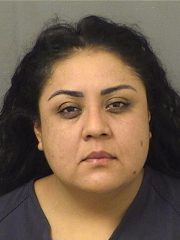  GABRIELA VIEYRAANGELES Results from Palm Beach County Florida for  GABRIELA VIEYRAANGELES