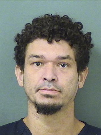  THIAGO MAURICIO MARTINIANODASILVA Results from Palm Beach County Florida for  THIAGO MAURICIO MARTINIANODASILVA