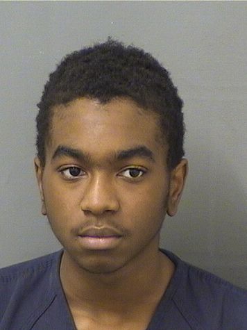  BRALYN B WOODSON Results from Palm Beach County Florida for  BRALYN B WOODSON