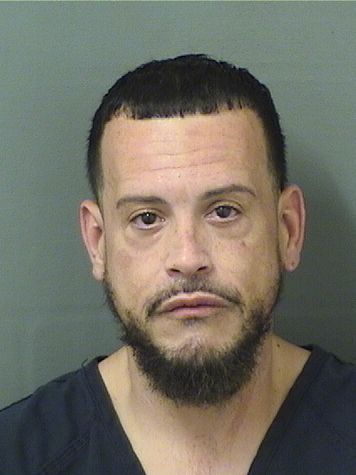  ALEJANDRO FERNANDEZ Results from Palm Beach County Florida for  ALEJANDRO FERNANDEZ