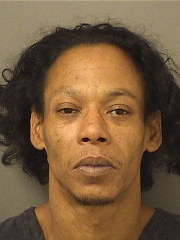  SHAWN MICHAEL TODD Results from Palm Beach County Florida for  SHAWN MICHAEL TODD