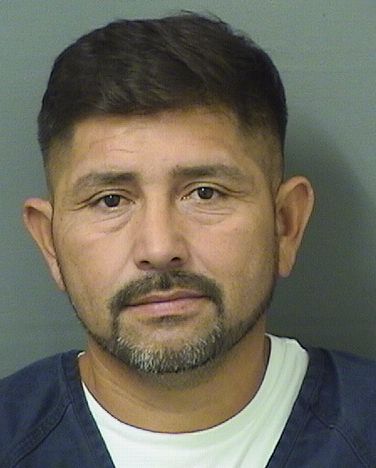  OSCAR RENE RUBIOREYES Results from Palm Beach County Florida for  OSCAR RENE RUBIOREYES