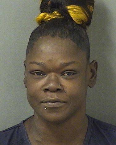  FALON V JACKSON Results from Palm Beach County Florida for  FALON V JACKSON