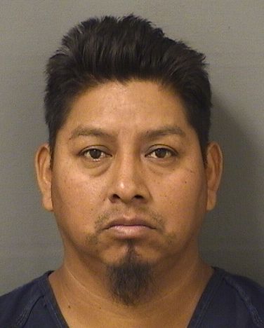  MATEO N ANDRES Results from Palm Beach County Florida for  MATEO N ANDRES