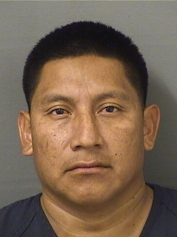  RIVELINO BYRON GASPARSALVADOR Results from Palm Beach County Florida for  RIVELINO BYRON GASPARSALVADOR