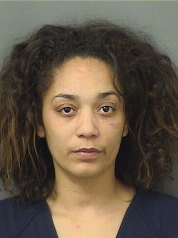  AMANDA ROSE LEVIS Resultados de la busqueda para Palm Beach County Florida para  AMANDA ROSE LEVIS