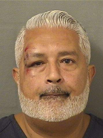  LEONARDO M RIZZO Results from Palm Beach County Florida for  LEONARDO M RIZZO