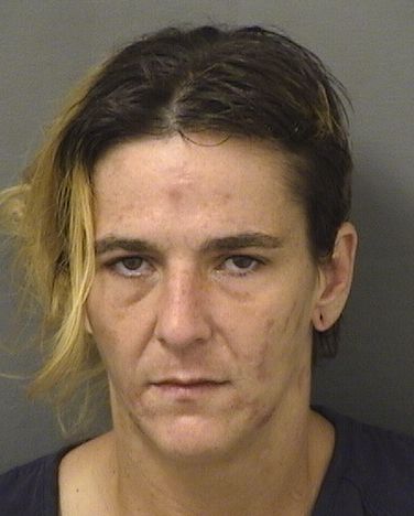  KRYSTAL JEANINE ROMAN Results from Palm Beach County Florida for  KRYSTAL JEANINE ROMAN