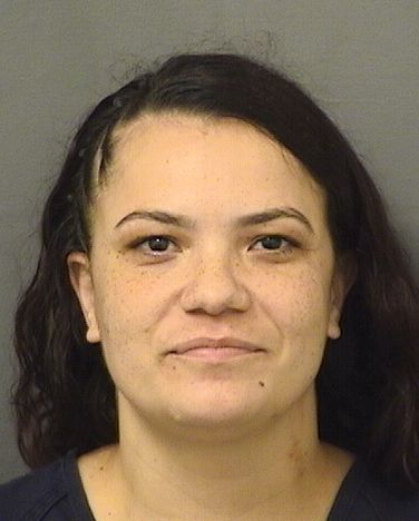  YANITZA FIGUEROA Results from Palm Beach County Florida for  YANITZA FIGUEROA