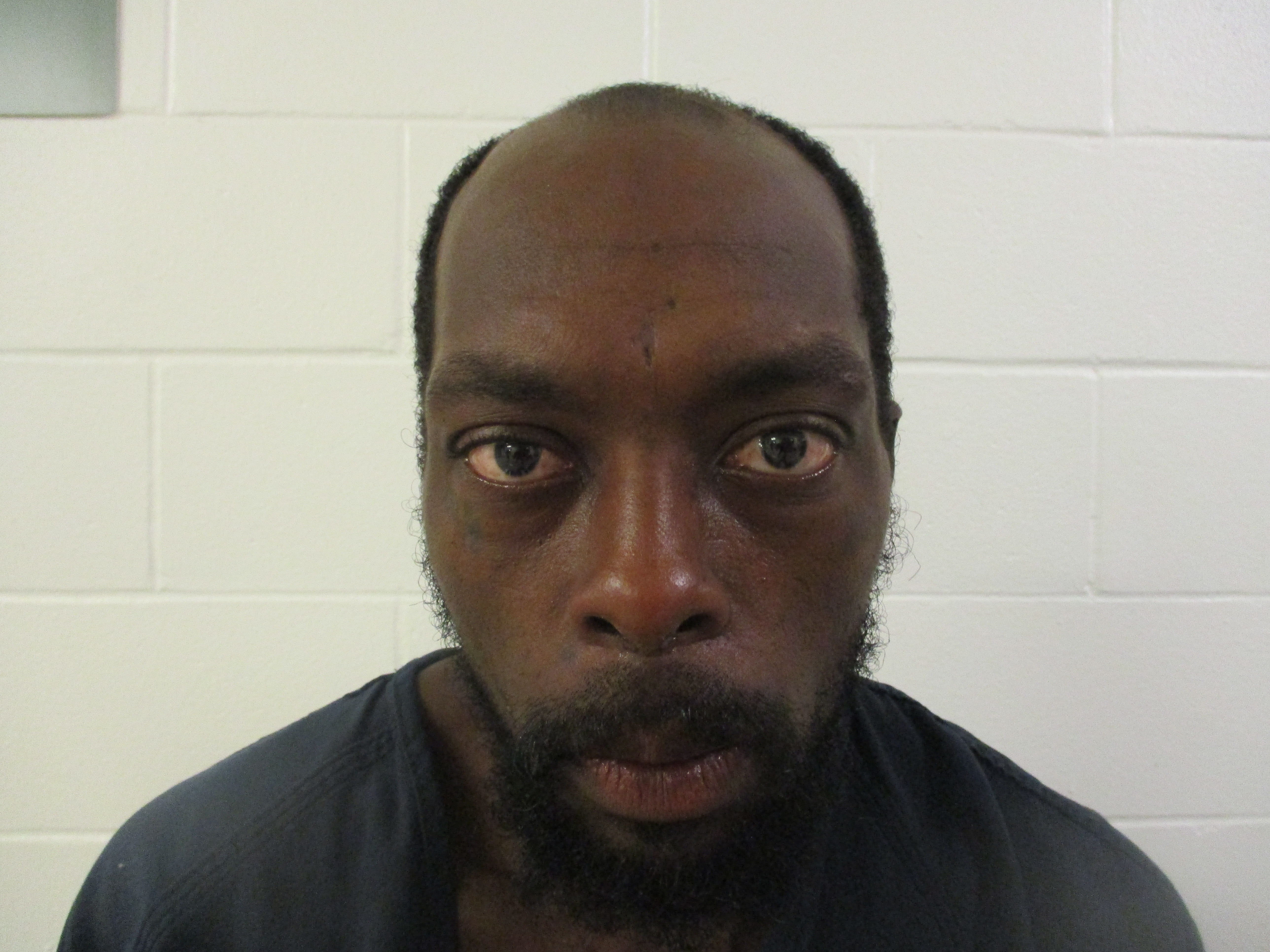  TRAVIS ANTHONY TURNER Results from Palm Beach County Florida for  TRAVIS ANTHONY TURNER