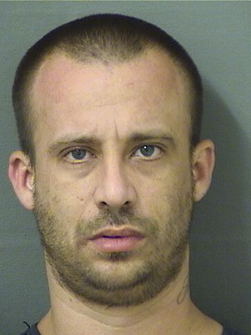  ALCIDES JORGE JOMARRONPLA Results from Palm Beach County Florida for  ALCIDES JORGE JOMARRONPLA