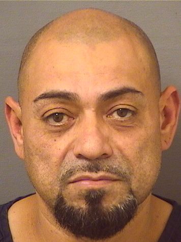 MARTIN FLORES Results from Palm Beach County Florida for MARTIN FLORES MARTIN FLORES Results from Palm Beach County Florida for MARTIN FLORES