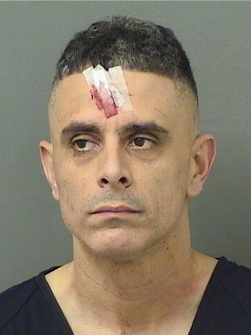  ANTONIO VELEZ COLON Results from Palm Beach County Florida for  ANTONIO VELEZ COLON