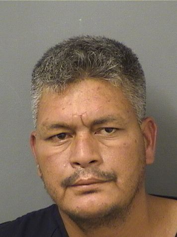  YONE V MIRANDADIAZ Results from Palm Beach County Florida for  YONE V MIRANDADIAZ