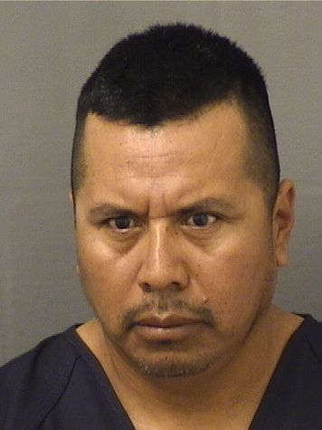  ELISEO LOPEZMENDEZ Results from Palm Beach County Florida for  ELISEO LOPEZMENDEZ