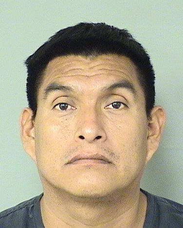  LUIS HERNANDEZVELASQUEZ Results from Palm Beach County Florida for  LUIS HERNANDEZVELASQUEZ