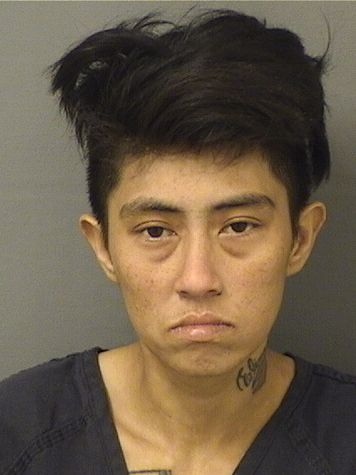  TINA SOUSSADA RATTANABOUNYANG Results from Palm Beach County Florida for  TINA SOUSSADA RATTANABOUNYANG