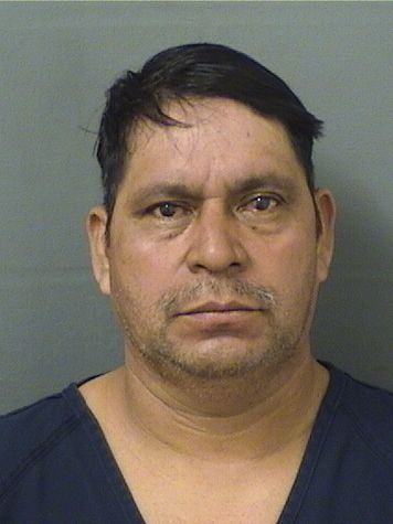  VALDEMAR LISANDRO VAILLOPEZ Results from Palm Beach County Florida for  VALDEMAR LISANDRO VAILLOPEZ