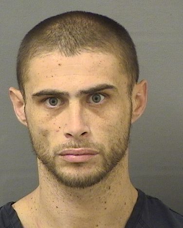  JORDAN PIERRE ALVAREZ Results from Palm Beach County Florida for  JORDAN PIERRE ALVAREZ