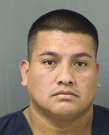  DIEGO ROBERTO GARCIAGARCIA Results from Palm Beach County Florida for  DIEGO ROBERTO GARCIAGARCIA