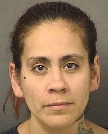  JESSICA MARIA NAVEDO Results from Palm Beach County Florida for  JESSICA MARIA NAVEDO