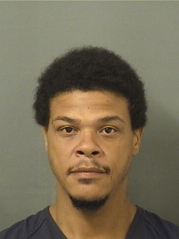  GABRIEL EARL LANGLEY Results from Palm Beach County Florida for  GABRIEL EARL LANGLEY