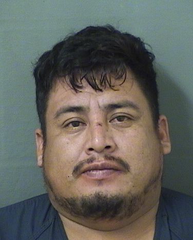  ANTONIO SALANISACALXOT Results from Palm Beach County Florida for  ANTONIO SALANISACALXOT
