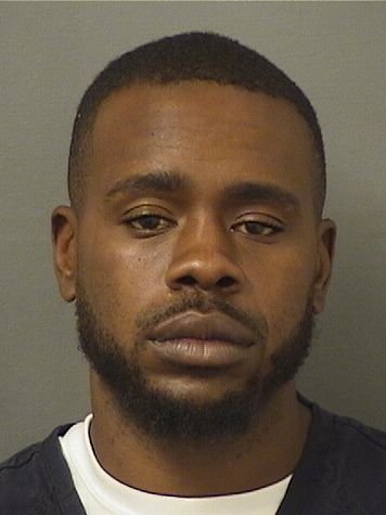  WILLIE JAMES JOHNSON Results from Palm Beach County Florida for  WILLIE JAMES JOHNSON