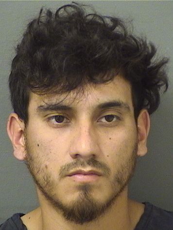  WILLIAM ACEVEDO Results from Palm Beach County Florida for  WILLIAM ACEVEDO