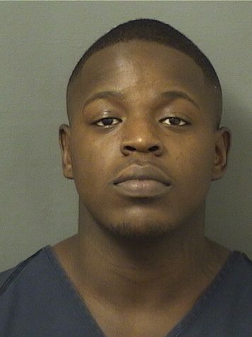  BIGUNO PIERRE Results from Palm Beach County Florida for  BIGUNO PIERRE