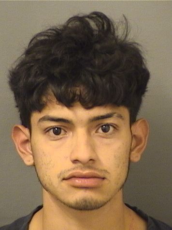 DANY NOE HERNANDEZPEREZ Results from Palm Beach County Florida for  DANY NOE HERNANDEZPEREZ