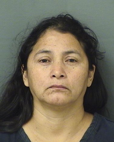  JUANA FRANCISCO SALVADOR Results from Palm Beach County Florida for  JUANA FRANCISCO SALVADOR