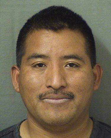  ABRAHAM DOMINGO Results from Palm Beach County Florida for  ABRAHAM DOMINGO