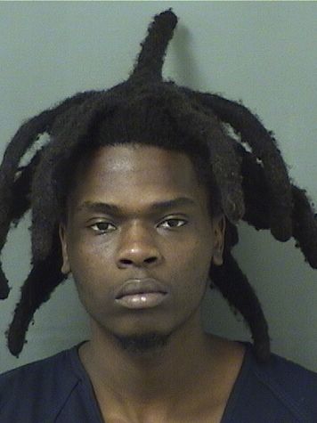  ALEX DOMINIQUE Results from Palm Beach County Florida for  ALEX DOMINIQUE