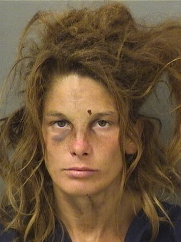  BRIANNA ELIZABETH TILLMAN Results from Palm Beach County Florida for  BRIANNA ELIZABETH TILLMAN