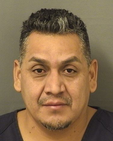  JOSE C URBINARAMIREZ Results from Palm Beach County Florida for  JOSE C URBINARAMIREZ