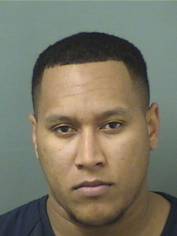MICHAEL B VITITOE Results from Palm Beach County Florida for MICHAEL B VITITOE MICHAEL B VITITOE Results from Palm Beach County Florida for MICHAEL B VITITOE