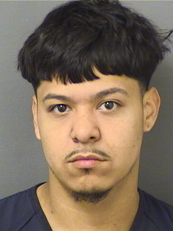  ULICES HERNANDEZMOLINA Results from Palm Beach County Florida for  ULICES HERNANDEZMOLINA