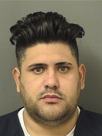  GABRIEL DELGADORAMIREZ Results from Palm Beach County Florida for  GABRIEL DELGADORAMIREZ