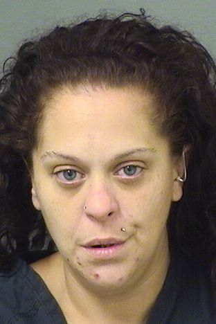  BRITTNY LEANNE MINNUCCI Results from Palm Beach County Florida for  BRITTNY LEANNE MINNUCCI