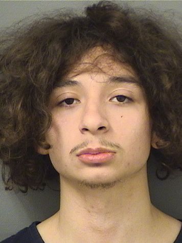  JONATHAN ABRAN SANTOS Results from Palm Beach County Florida for  JONATHAN ABRAN SANTOS