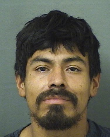  ELMER R RODRIGUEZ Results from Palm Beach County Florida for  ELMER R RODRIGUEZ