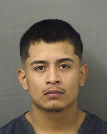  JORGE LOPEZ TRINIDAD Results from Palm Beach County Florida for  JORGE LOPEZ TRINIDAD
