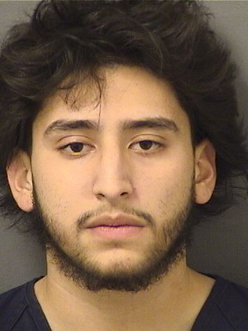  BRANDON RESENDIZSALAS Results from Palm Beach County Florida for  BRANDON RESENDIZSALAS